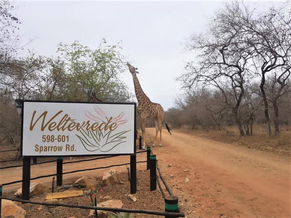 Weltevrede Lodge - Self Catering Houses マールロス・パーク エクステリア 写真