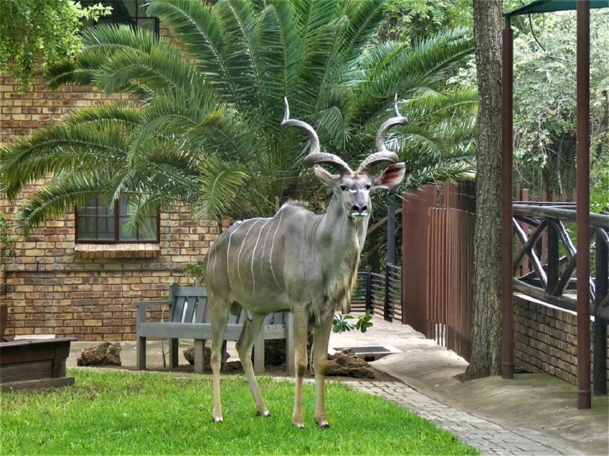 Weltevrede Lodge - Self Catering Houses マールロス・パーク エクステリア 写真